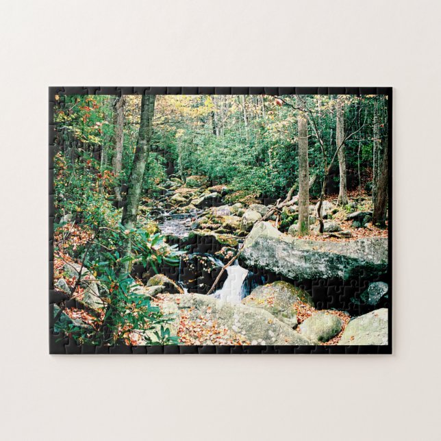 Roaring Fork Puzzle (Horizontal)