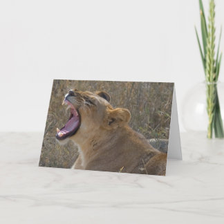 Roaring Lion Greeting card Karte