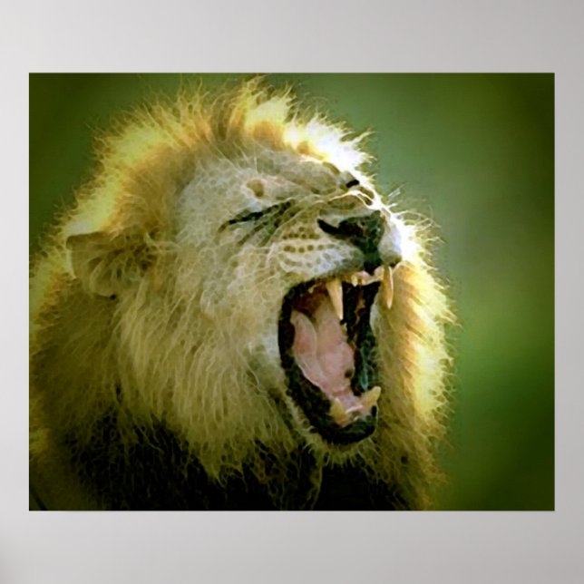 Roaring Lion Poster Print (Vorne)