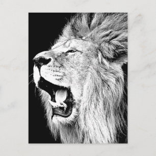 Roaring Lion Postkarte