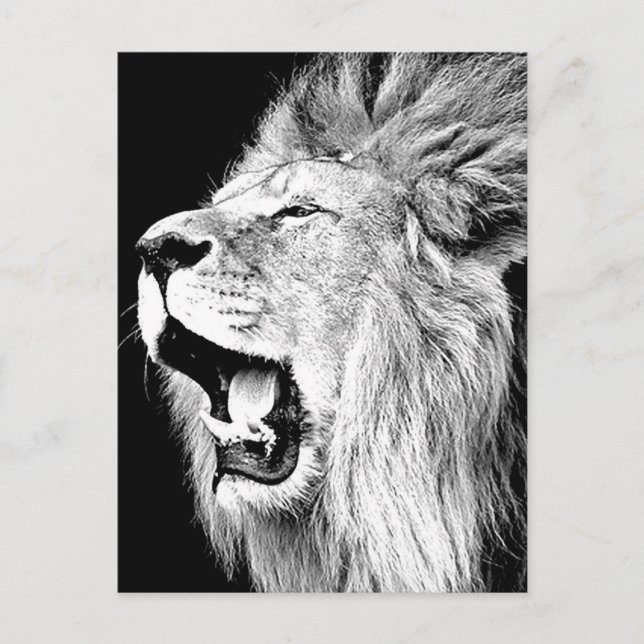 Roaring Lion Postkarte (Vorderseite)