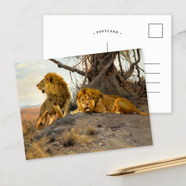 Roaring Lions | Wilhelm Kuhnert Postkarte (Von Creator hochgeladen)