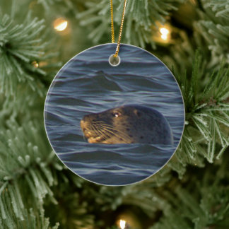 Robben-Foto-Ornament  Keramik Ornament