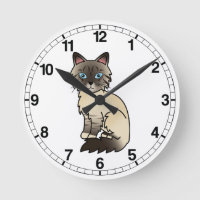 Robben-Punkt-Tabby-Birman / Ragdoll-Katze