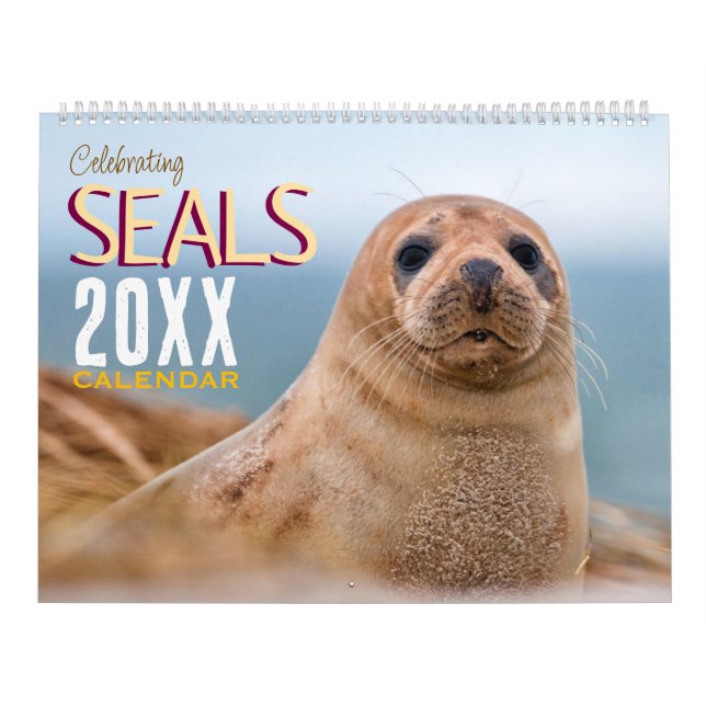 Robben-Wandkalender 2026 Wildlife Kalender (Titelbild)
