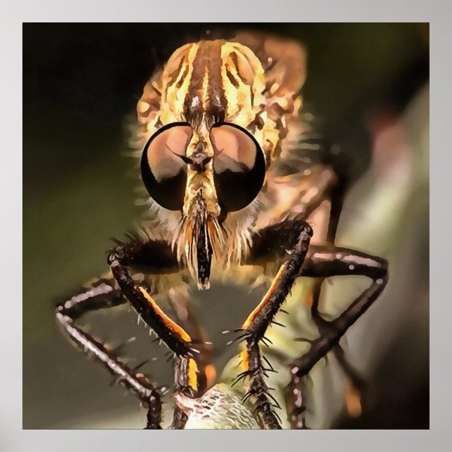 Robber Fly Profil Asildae Artistic Nah Up Poster (Vorne)