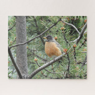 Robbin im Jigsaw-Puzzle der Bäume Puzzle
