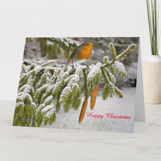 Robbin RedBrust Karte (Vorderseite)