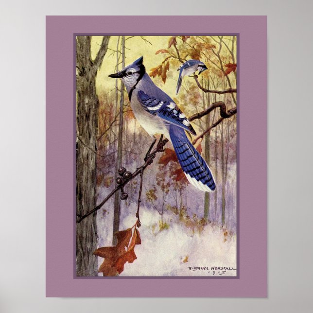 Robert Bruce Horsfall Blauhäher Faux-Matt Poster (Vorne)
