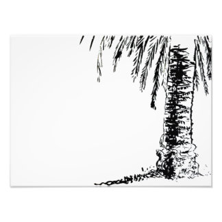 Roberts Tree Fotodruck