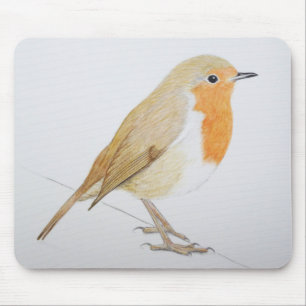Robin 2011 mousepad