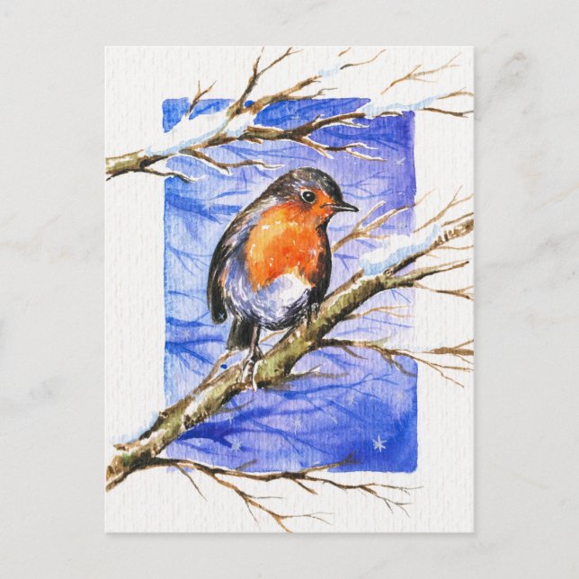 Robin 3 postkarte (Vorderseite)
