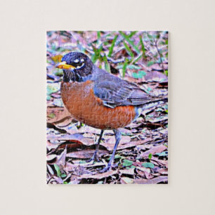 Robin (American Robin) Puzzle