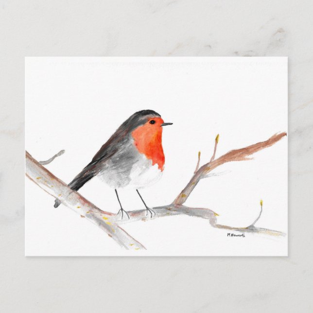 Robin Aquarell Weihnachtskunst Feiertagspostkarte (Vorderseite)