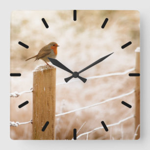 Robin auf der Zaun-Post-Uhr Quadratische Wanduhr