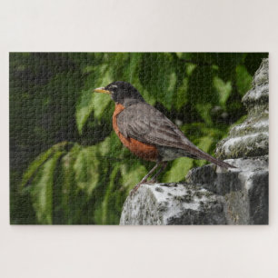 Robin auf einem Headstone Puzzle