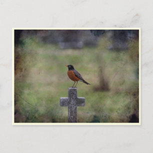 Robin auf einem Kreuz Postkarte