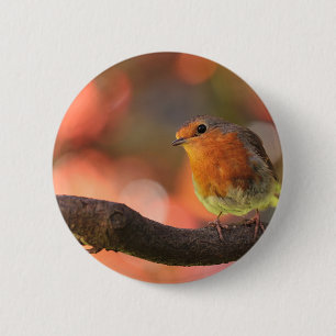 Robin auf einem Zweig Button