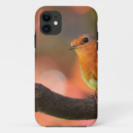 Robin auf einem Zweig Case-Mate iPhone Hülle