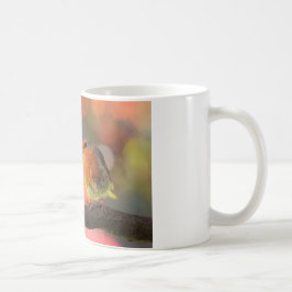 Robin auf einem Zweig Kaffeetasse