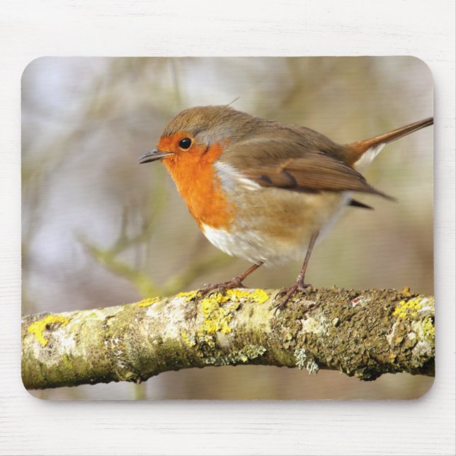 Robin auf Niederlassung Mousepad (Vorne)
