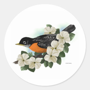 Robin-Aufkleber Runder Aufkleber