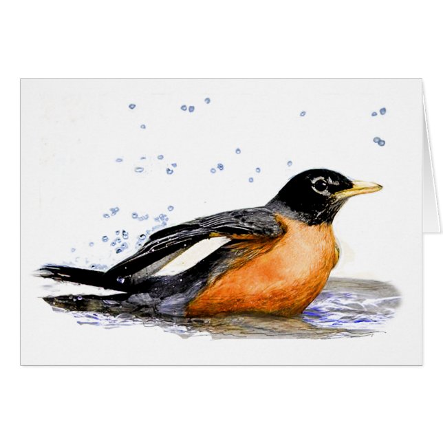 Robin Bath (Vorderseite (Horizontal))