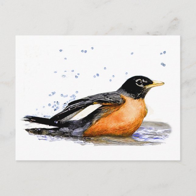 Robin Bathing Postkarte (Vorderseite)