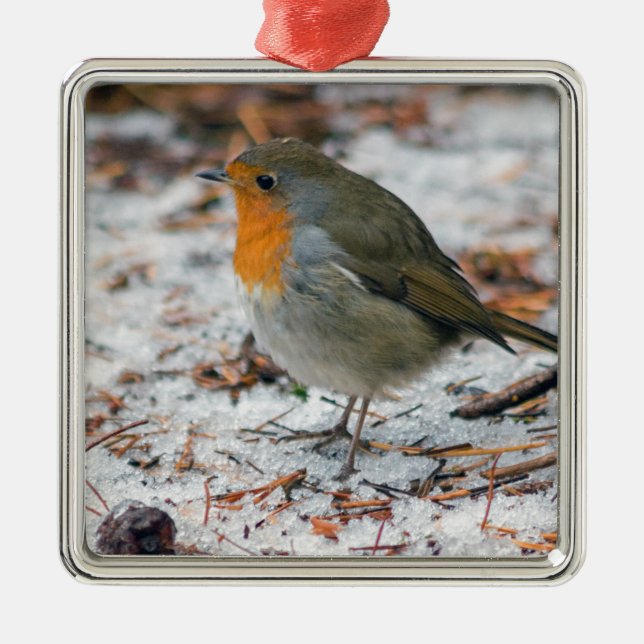 Robin Bauble Ornament Aus Metall (Vorne)