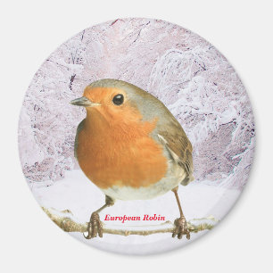 Robin-Bild für großes Round-Magnet Magnet
