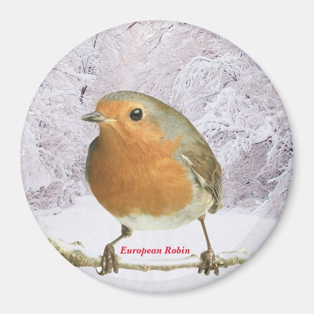 Robin-Bild für großes Round-Magnet Magnet (Vorne)