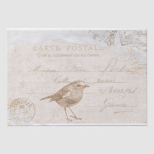 Robin Bird Carte Postale Französisch Decoupage Blu Seidenpapier