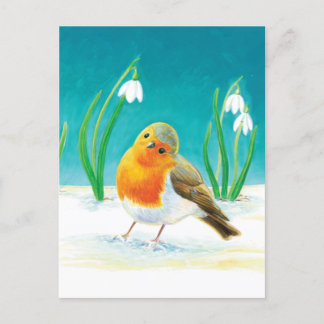 Robin Bird - Erithacus rubecula Feiertagspostkarte