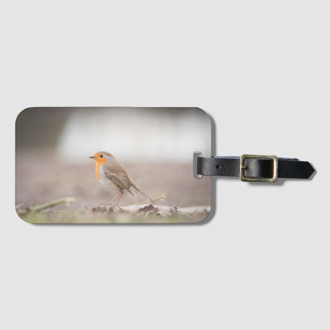 Robin Bird Nature Foto Gepäckanhänger (Vorderseite (Horizontal))