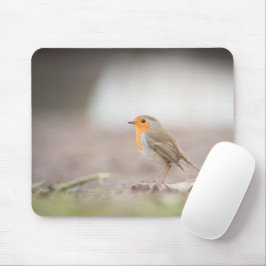 Robin Bird Nature Foto Mousepad