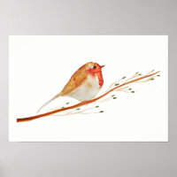 Robin Bird