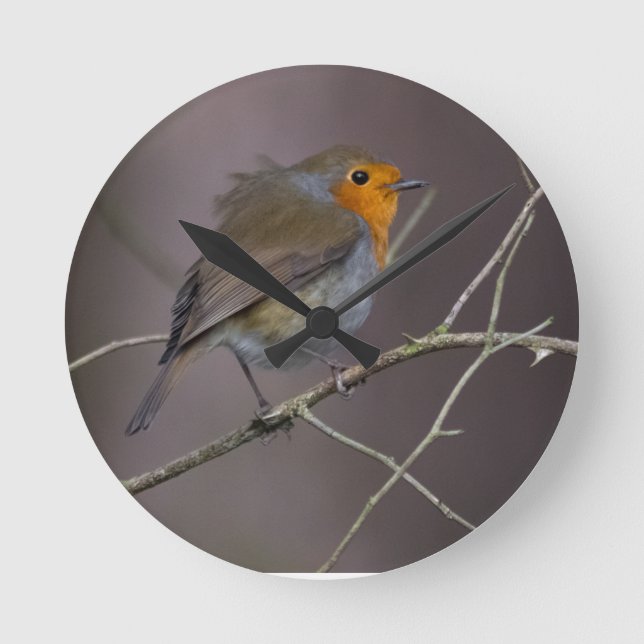 Robin Bird Runde Wanduhr (Vorderseite)