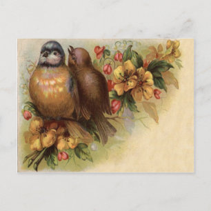 Robin Bird Yellow Red Blume Postkarte