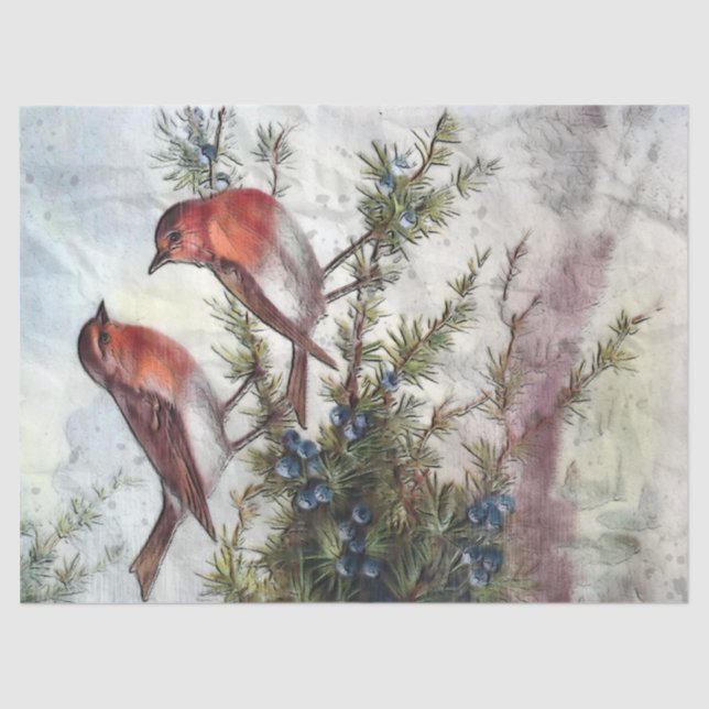 Robin Birds Artistic Decoupage Tissue Paper Seidenpapier (Vorderseite)