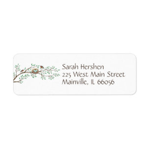 Robin Birds Nest Eggs Spring Baby Dusche