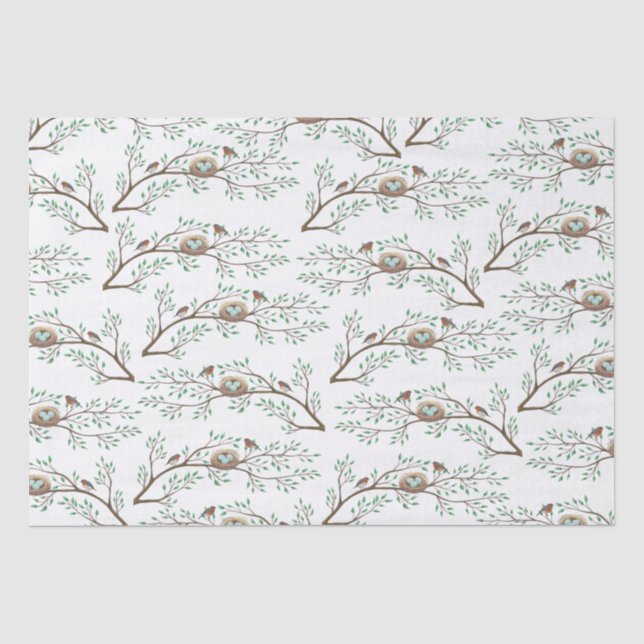 Robin Birds Nest Eggs Spring Baby Dusche Seidenpapier (Vorderseite)