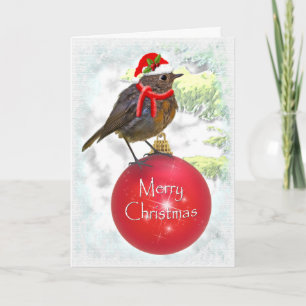 Robin Card Feiertagskarte