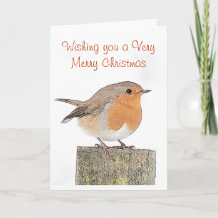Robin Christmas Card Feiertagskarte
