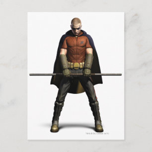 Robin Color Postkarte