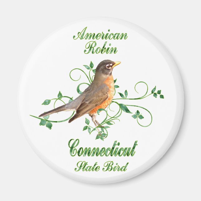Robin Connecticut Staat Bird Magnet (Vorne)