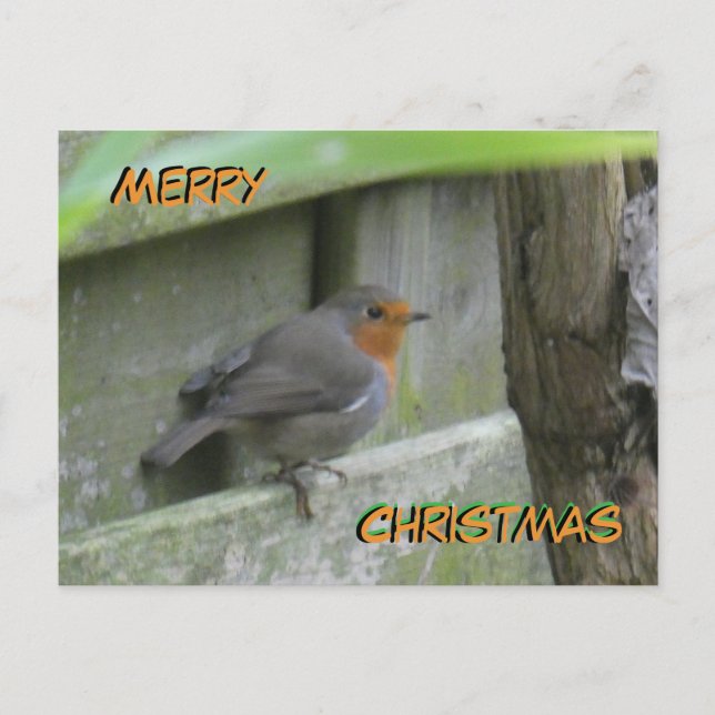 Robin Cust. Frohe Weihnachts-Postkarte Postkarte (Vorderseite)