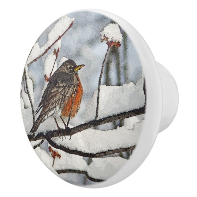 ROBIN, DAS AUF DER SCHNEE-BRANCH-KERAMIK KNOB/PULL KERAMIKKNAUF (Rechts)