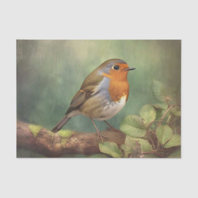 ROBIN-DEcoupage Seidenpapier (Vorderseite)