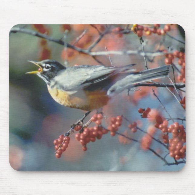 Robin, der Beere isst Mousepad (Vorne)