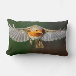 Robin, der im Flug Kissen schwebt